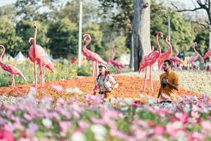 BIB: 
                            <button type="button" onclick="openModal(27344228)" class="btn btn-primary btn-sm float-right btn-popup" data-toggle="modal" data-target=".modal-high-quality">
                        <i class="fas fa-shopping-cart"></i> Add to Cart
                    </button>
                                            <button type="button" onclick="isThisMe(27344228, true)" class="btn btn-success btn-sm float-right btn-popup btn-isme hidden" data-toggle="tooltip" data-placement="bottom" title="นี่คือรูปของคุณใช่ไหม คลิกที่นี่เพื่อเอาเข้าอัลบั้ม">
                        <i class="fas fa-plus"></i> Add to album
                    </button>
                    <button type="button" onclick="isThisMe(27344228, false)" class="btn btn-warning btn-sm float-right btn-popup btn-isnotme hidden">
                        <i class="fas fa-ban"></i> Remove from album
                    </button>